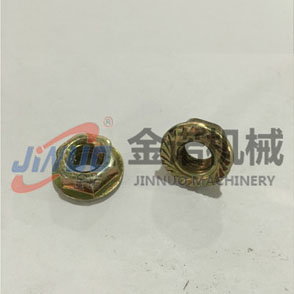 1604109263901171.jpg